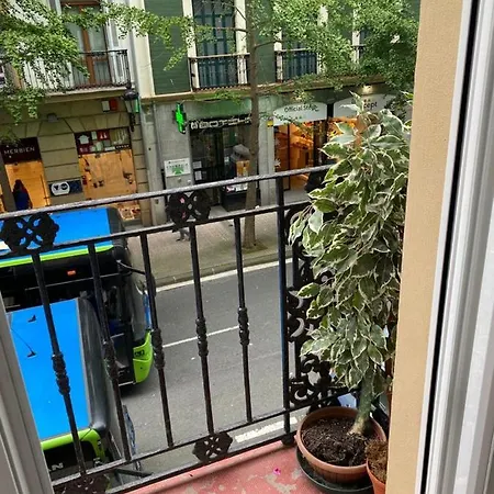 Kasa Legazpi Ht Lss00253